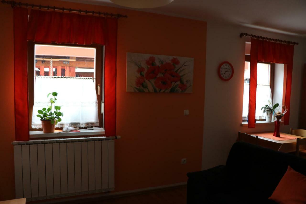 דירות Zaga Apartma Na Vasi מראה חיצוני תמונה